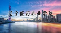2024年辽宁医药职业学院在河南计划招生人数（附学费及专业录取分)