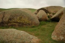 康保门品牌前十大排名吉林吉康保怎么样？有没有坑？