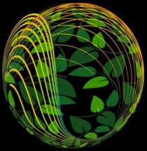 世界体育王国有哪些，世界的体育国王排名前十