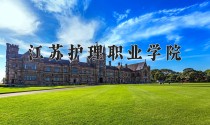 2024年江苏护理职业学院在河南计划招生人数（附学费及专业录取分)