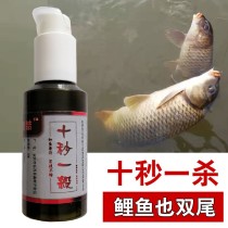 杀鱼十大排名药物杀鱼用什么毒药