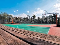 2024年长沙职业技术学院在河南计划招生人数（附学费及专业录取分)