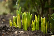 药事管理专业怎么样？主要学些什么，就业前景如何？