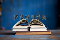 2024年武汉晴川学院在河南计划招生人数（附学费及专业录取分)