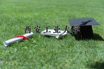 西安工业大学2024年各学科排名一览表！附教育部评级比例