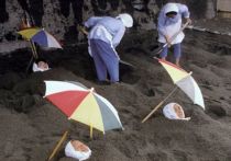 世界上最奇葩的活埋细数员工奇葩讨薪招数 讨要工资发展来的行为艺术！