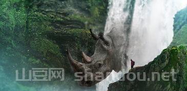 世界十大犀牛排名,世界犀牛数量排名前十