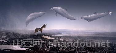 搜索世界上最凶猛,播放世界上最凶狠的小说